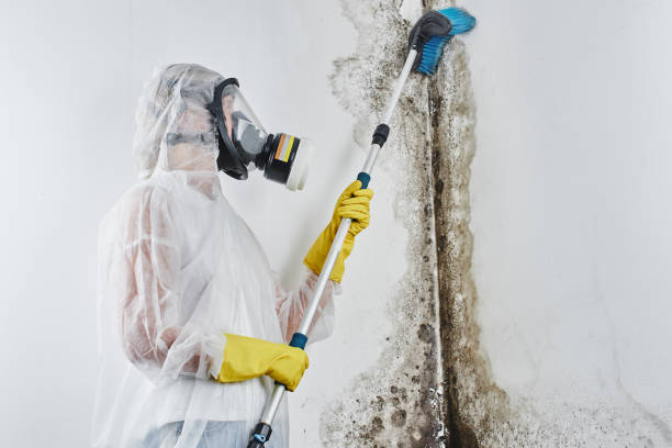 Best Water Damage Restoration  in Grandy, NC