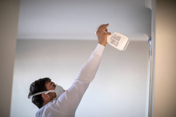 Reliable Grandy, NC Mold Removal Solutions