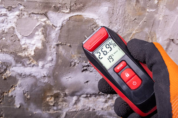Attic Mold Removal in Grandy, NC