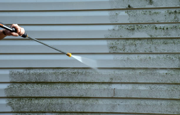 Best Toxic Mold Removal  in Grandy, NC